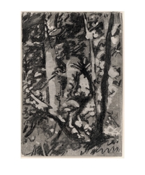Der Späher
