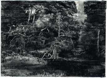 Waldsaum