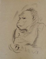 Gorilla2