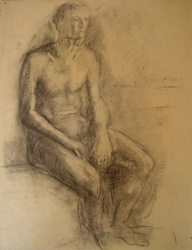 Studie
