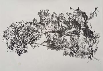 Aussteiger auf La Palma